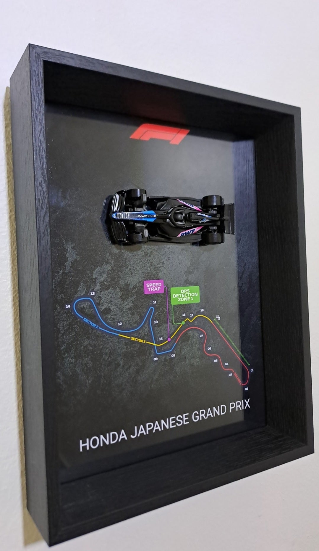 ALPINE Formula 1 frame
